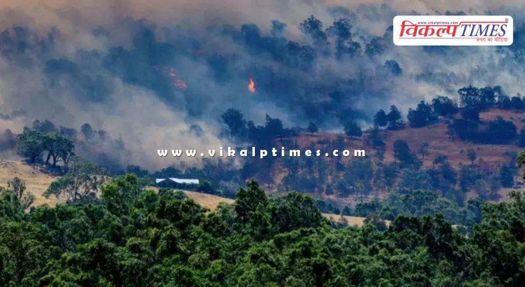 Australia fires destroy 300 buildings