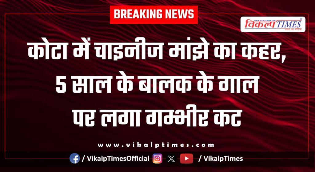Chinese manjha wreaks havoc in Kota