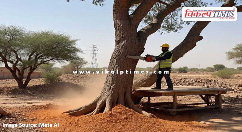 Rajasthann High Court imposed a fine of Rs 1 lakh on officials for tree felling in dausa