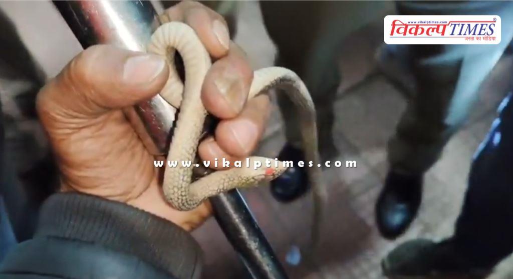 Snake enters daypdaya express train compartment in kota News