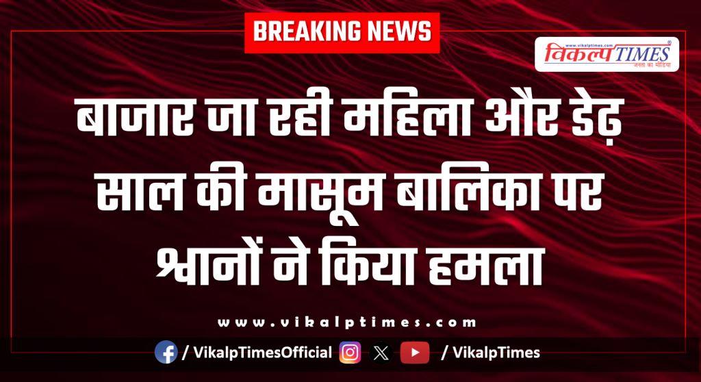 Street Dogs woman girl child sawai madhopur news 19 Jan 26