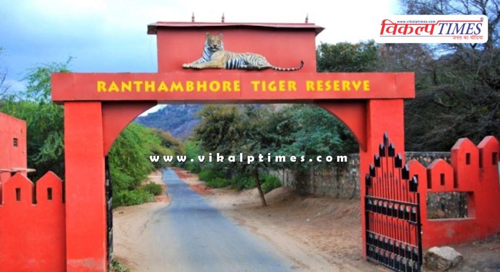 Use of mobile phones is prohibited during safari in Ranthambore National Park